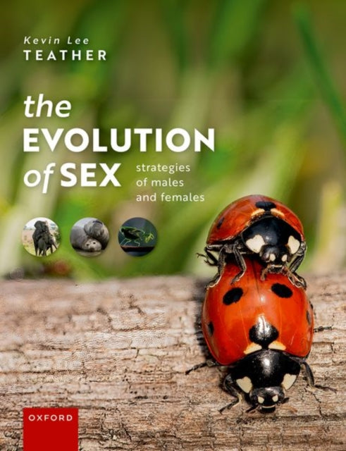 Book cover of: Evolution of Sex. By: Kevin Teather