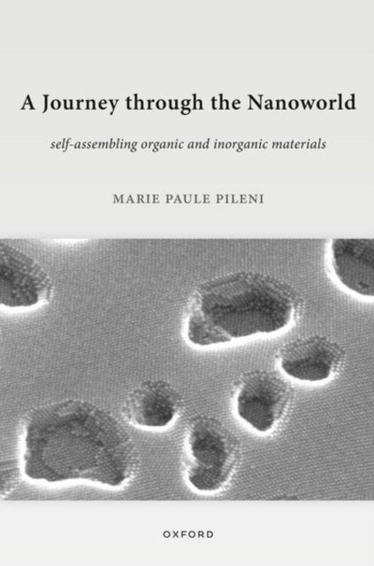 Book cover of: Journey through the Nanoworld