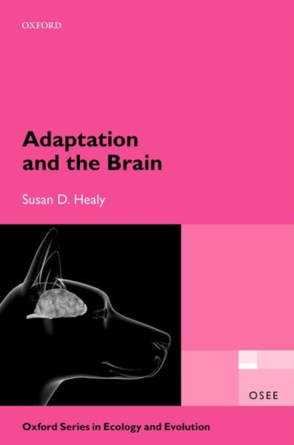 Book cover of: Adaptation and the Brain. By: Susan D. Healy