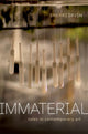 Book cover of: Immaterial. By: Sherri Irvin