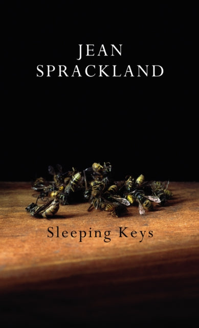 Book cover of: Sleeping Keys. By: Jean Sprackland