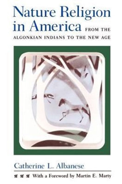 Book cover of: Nature Religion in America. By: Catherine L. Albanese