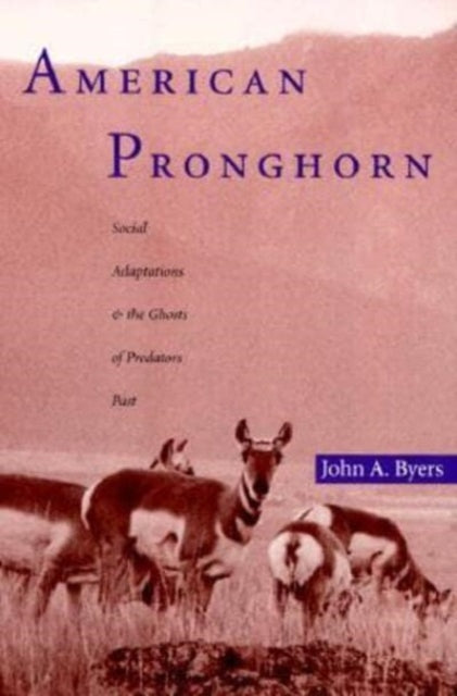 Book cover of: American Pronghorn. By: John A. Byers