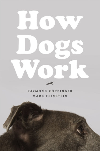Book cover of: How Dogs Work. By: Raymond Coppinger