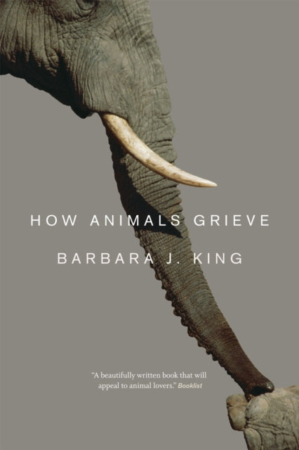 Book cover of: How Animals Grieve