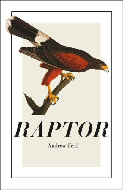 Book cover of: Raptor. By: Andrew Feld