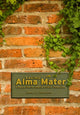 Book cover of: Saving Alma Mater. By: James C. Garland
