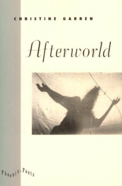 Book cover of: Afterworld