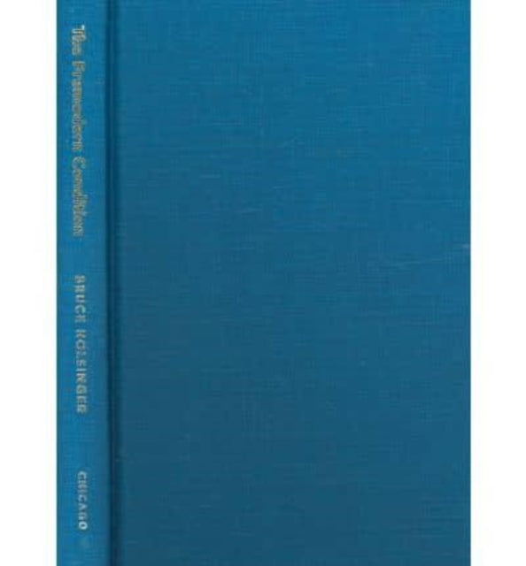 Book cover of: Premodern Condition