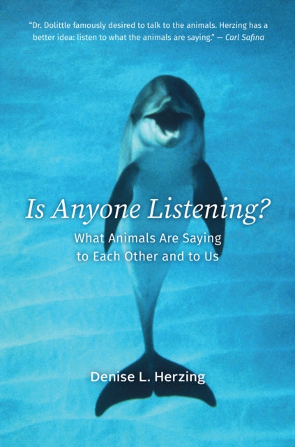 Book cover of: Is Anyone Listening?. By: Denise L. Herzing
