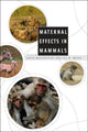 Book cover of: Maternal Effects in Mammals