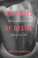 Book cover of: Pathways of Desire – The Sexual Migration of Mexican Gay Men. By: Héctor Carrillo