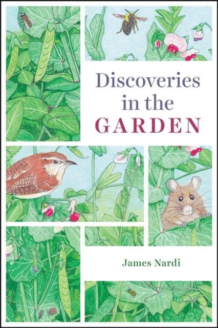 Book cover of: Discoveries in the Garden. By: James B. Nardi