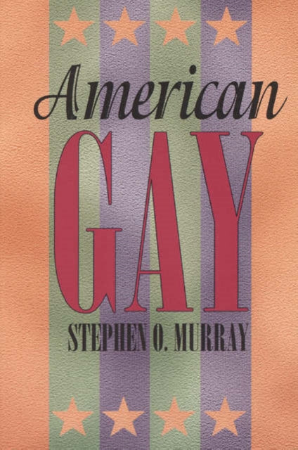 Book cover of: American Gay