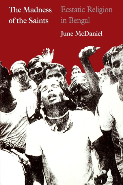 Book cover of: Madness of the Saints