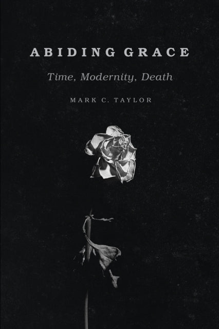 Book cover of: Abiding Grace. By: Mark C. Taylor