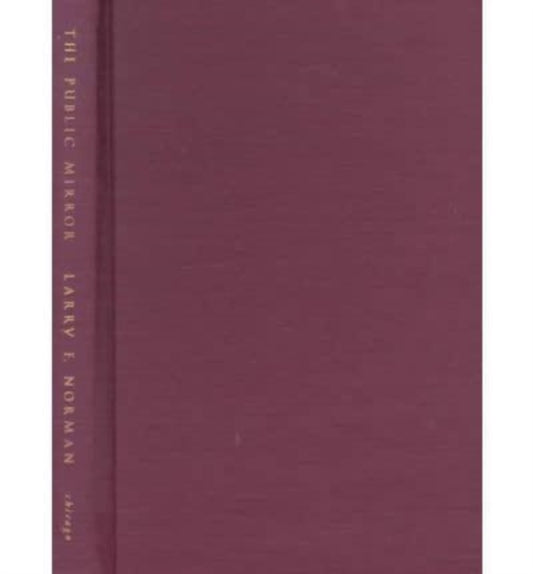 Book cover of: Public Mirror