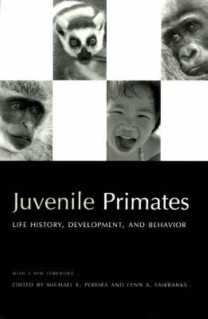 Book cover of: Juvenile Primates