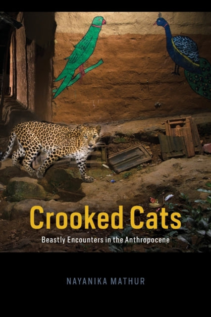 Book cover of: Crooked Cats. By: Nayanika Mathur