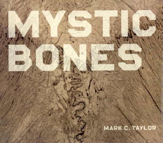 Book cover of: Mystic Bones. By: Søren Kierkegaard