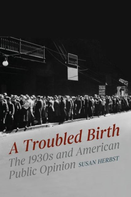 Book cover of: Troubled Birth. By: Susan Herbst
