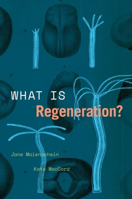 Book cover of: What Is Regeneration?. By: Kate MacCord