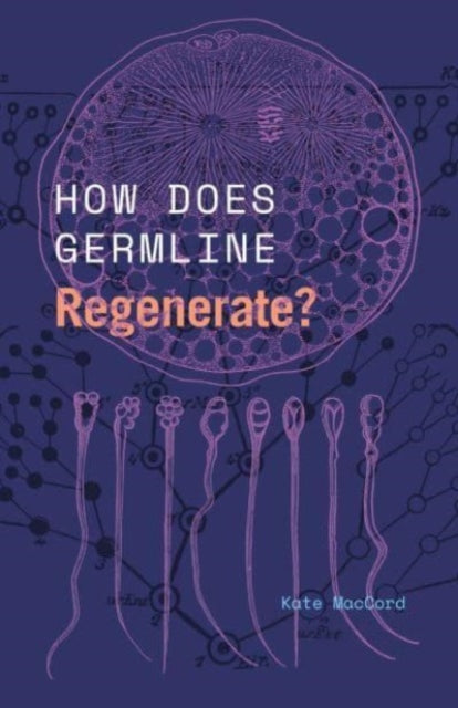 Book cover of: How Does Germline Regenerate?. By: Kate MacCord