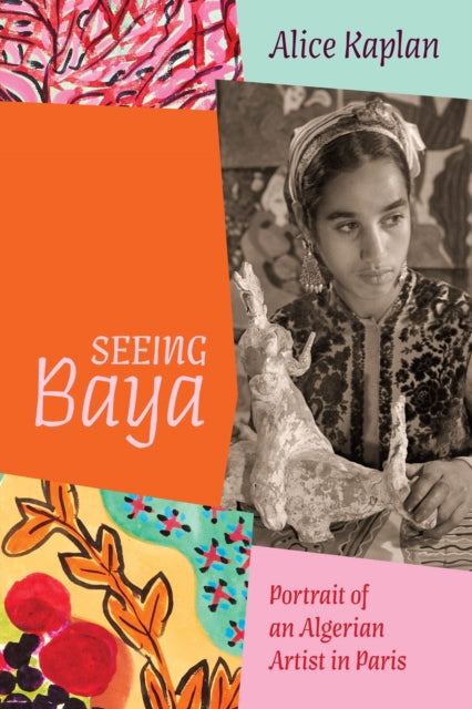 Book cover of: Seeing Baya