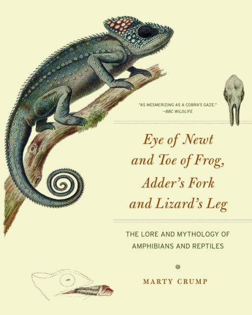 Book cover of: Eye of Newt and Toe of Frog, Adder's Fork and Lizard's Leg