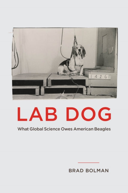 Book cover of: Lab Dog. By: Brad Bolman