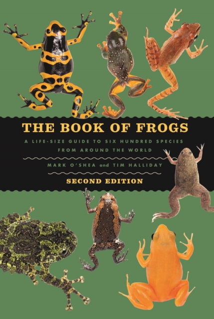 Book cover of: Book of Frogs