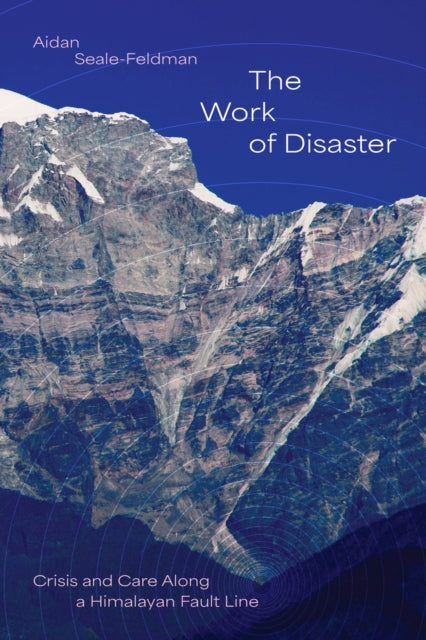 Book cover of: Work of Disaster