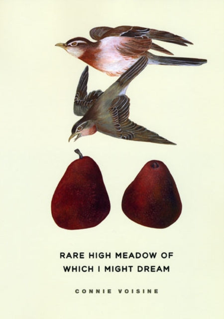 Book cover of: Rare High Meadow of Which I Might Dream. By: Connie Voisine
