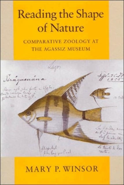 Book cover of: Reading the Shape of Nature
