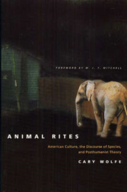 Book cover of: Animal Rites. By: Cary Wolfe