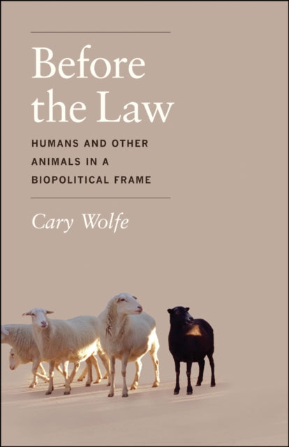 Book cover of: Before the Law. By: Cary Wolfe