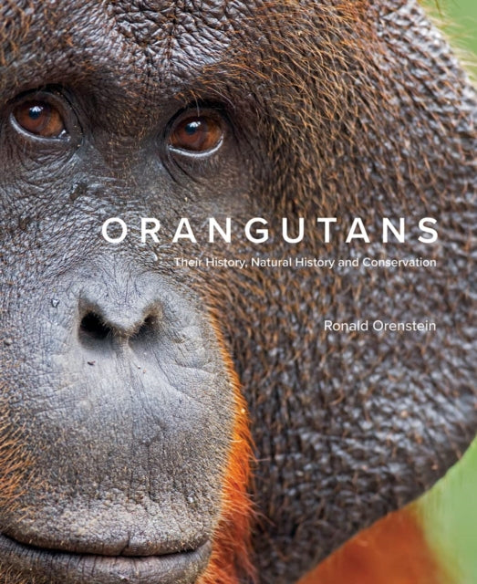 Orangutans, Their History, Natural History and Conservation 9780228103783 Ronald Orenstein