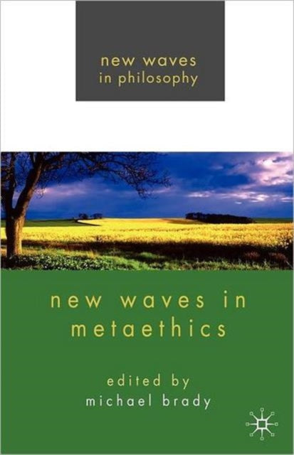 Book cover of: New Waves in Metaethics. By: Michael Brady