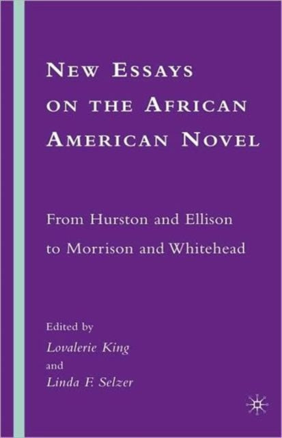 Book cover of: New Essays on the African American Novel