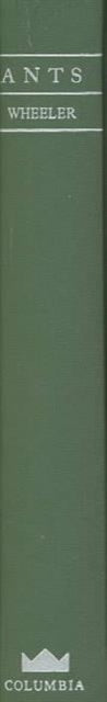 Book cover of: Ants. By: William Morton Wheeler