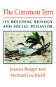 Book cover of: Common Tern
