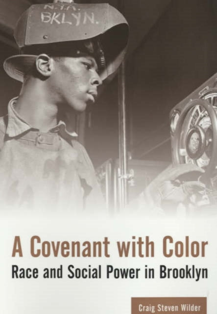 Book cover of: Covenant with Color