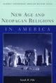 Book cover of: New Age and Neopagan Religions in America. By: Sarah M. Pike