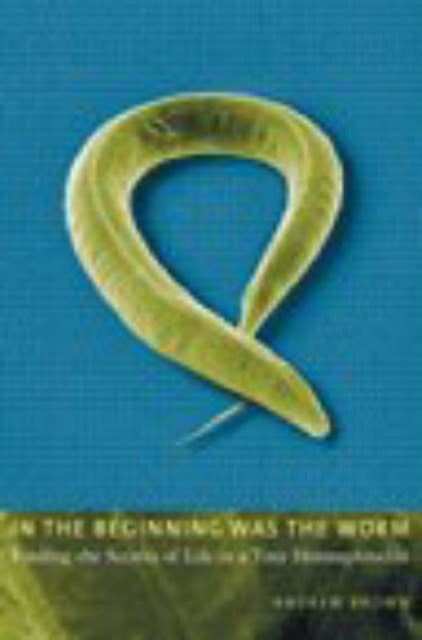 Book cover of: In the Beginning Was the Worm. By: Andrew Brown