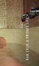Book cover of: Private Life. By: Chen, Ran