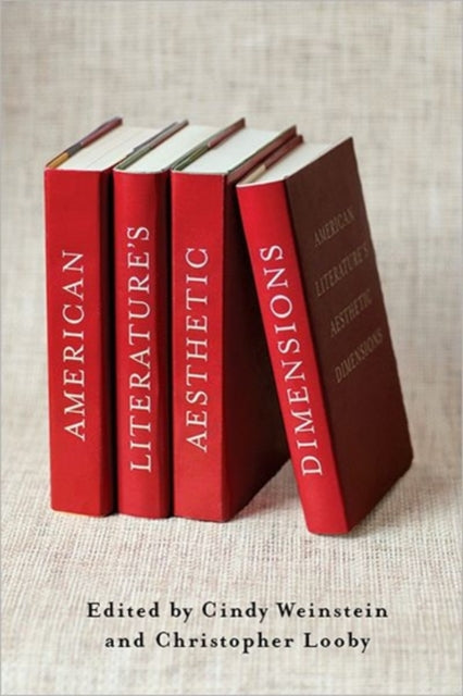 Book cover of: American Literature’s Aesthetic Dimensions. By: Cindy Weinstein