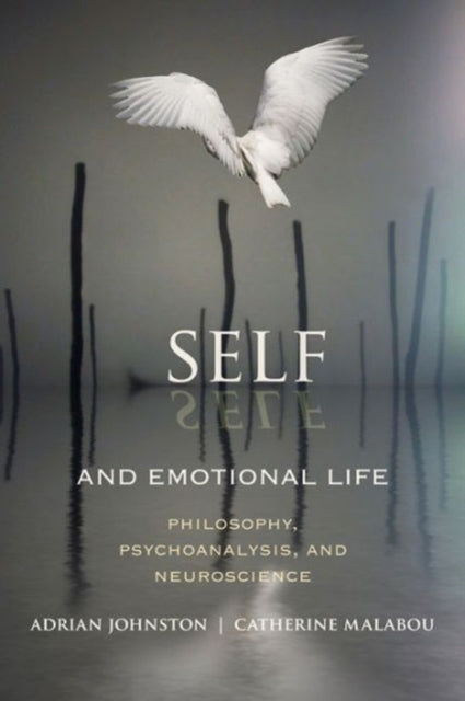 Book cover of: Self and Emotional Life