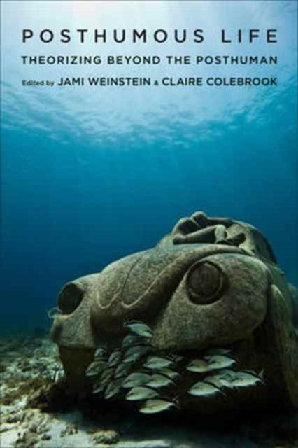 Book cover of: Posthumous Life