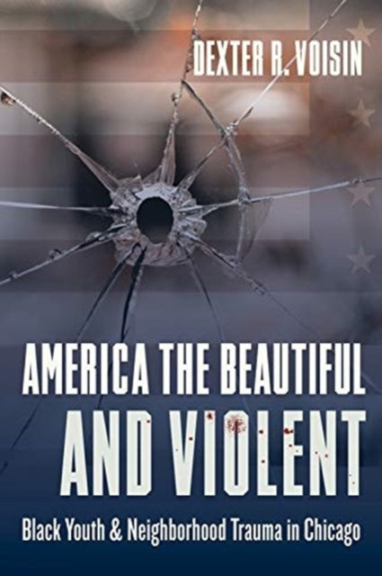 Book cover of: America the Beautiful and Violent. By: Dexter Voisin