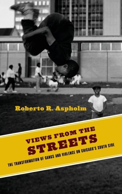 Book cover of: Views from the Streets. By: Roberto Aspholm
